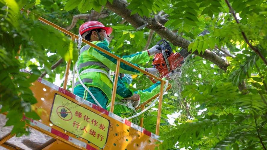 睢宁园林景观绿化工程施工方案