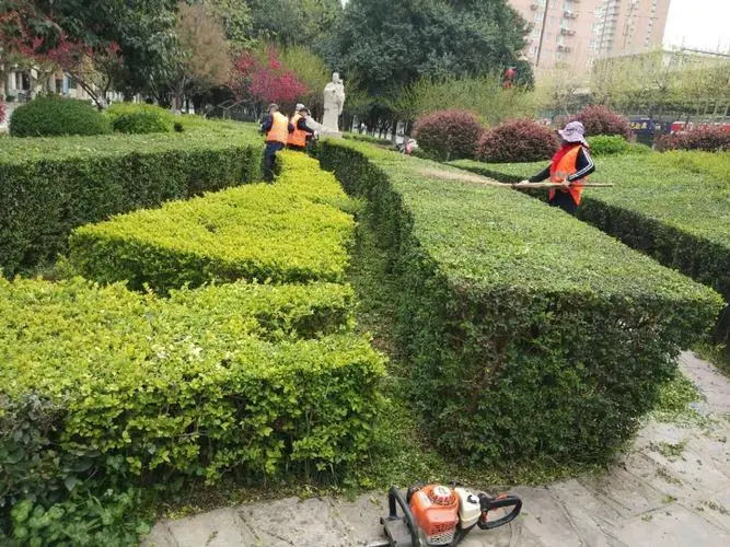 大型园林景观设计师
