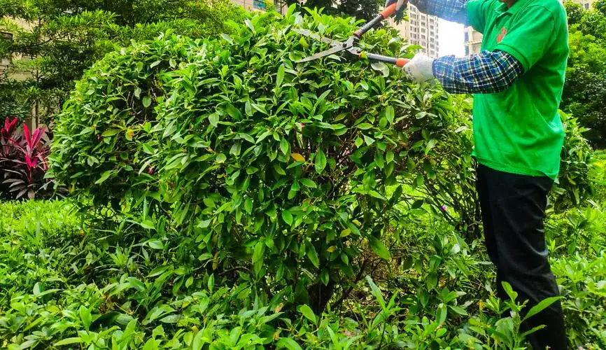 艺禾香园林绿化工程