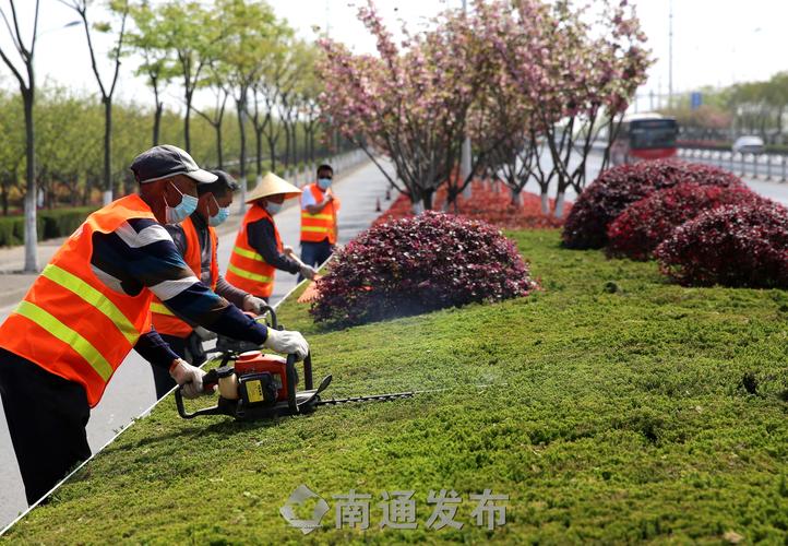 先交房还是先搞绿化工程